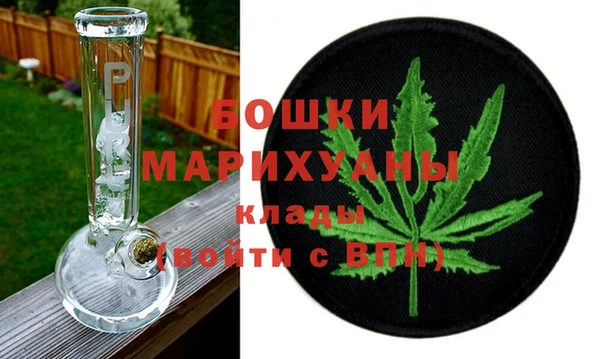 дмт Богданович