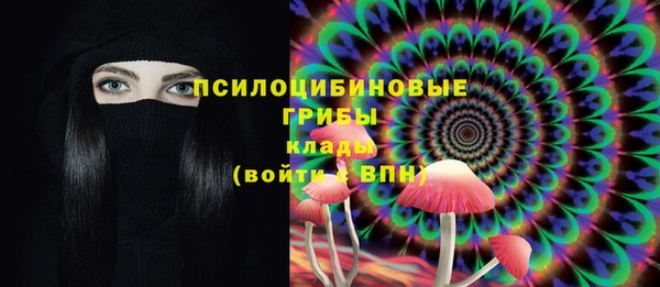 тгк Бугульма