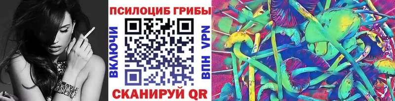 Галлюциногенные грибы Psilocybe  закладка  Карабулак 