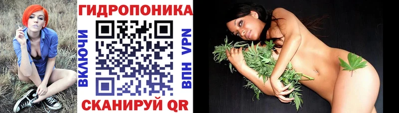 Каннабис семена  Карабулак 